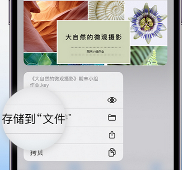 奉化apple维修中心分享iPhone文件应用中存储和找到下载文件