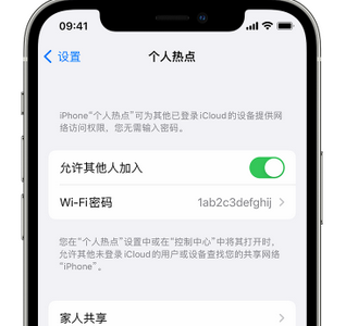 奉化apple服务站点分享iPhone上个人热点丢失了怎么办