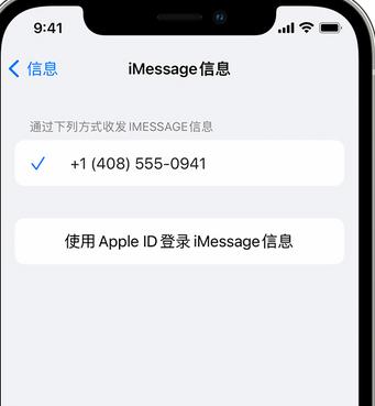 奉化apple维修iPhone上无法正常发送iMessage信息 