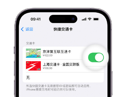 奉化apple维修点分享iPhone上更换Apple Pay快捷交通卡手绘卡面 