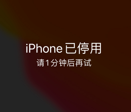 奉化苹果手机维修分享:iPhone 显示“不可用”或“已停用”怎么办？还能保留数据吗？ 