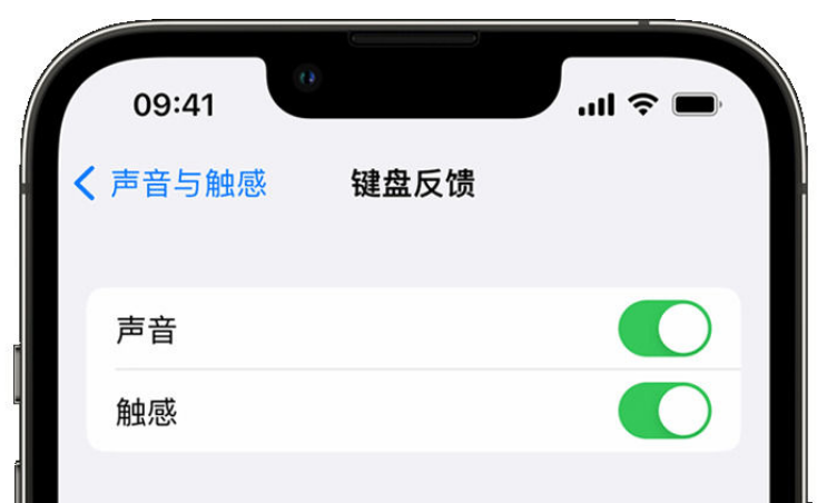 奉化苹果手机维修分享iPhone 14触感键盘使用方法 