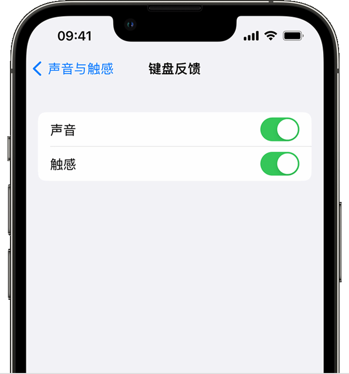 奉化苹果14维修店分享如何在 iPhone 14 机型中使用触感键盘 