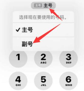 奉化苹果14维修店分享iPhone 14 Pro Max使用副卡打电话的方法 