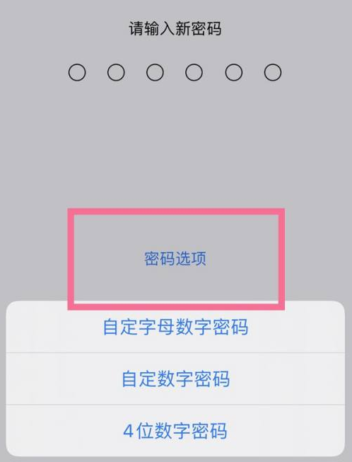 奉化苹果14维修分享iPhone 14plus设置密码的方法 