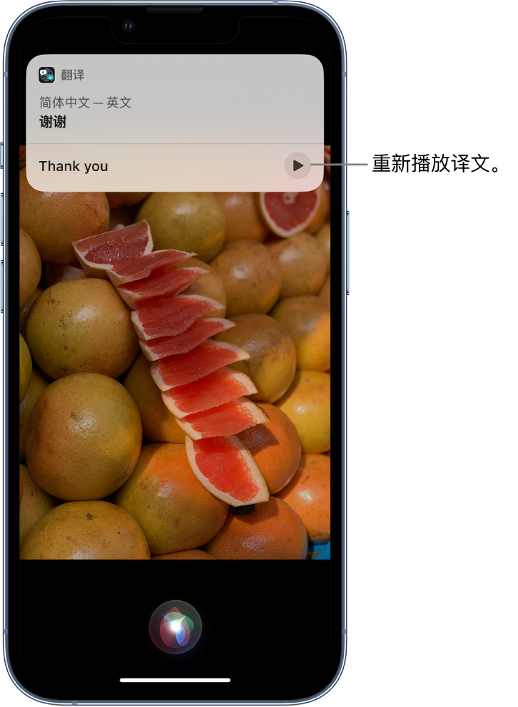 奉化苹果14维修分享 iPhone 14 机型中使用 Siri：了解 Siri 能帮你做什么 