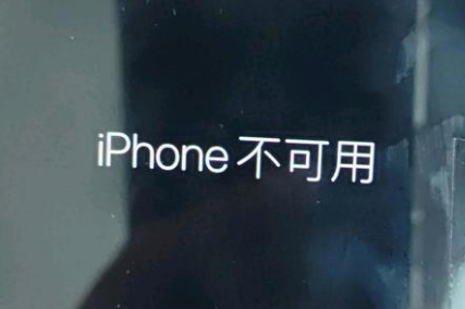 奉化苹果服务网点分享锁屏界面显示“iPhone 不可用”如何解决 