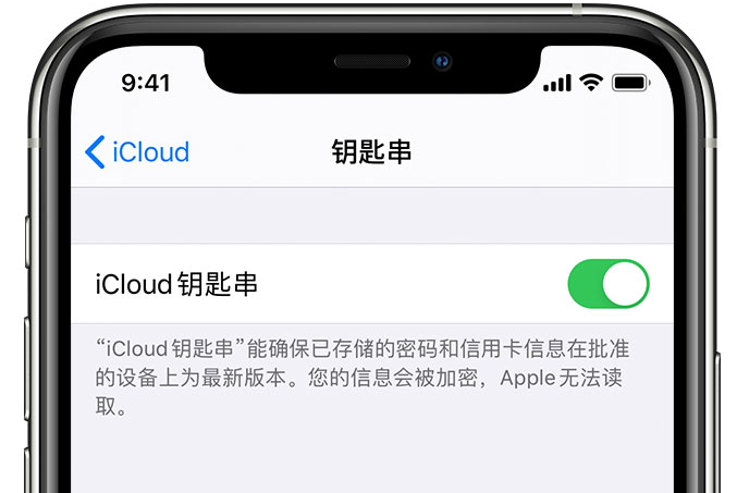 奉化苹果手机维修分享在 iPhone 上开启 iCloud 钥匙串之后会储存哪些信息 