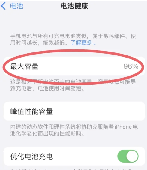 奉化苹果手机维修分享iPhone电池老化一定要换电池吗 