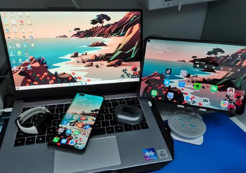 奉化苹果手机维修分享为什么iPad屏幕更大价格却比iPhone低 