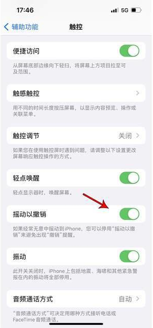 奉化苹果手机维修分享iPhone手机如何设置摇一摇删除文字 